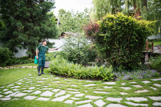 Best Pest Control for Businesses  in Cumberland Head, NY