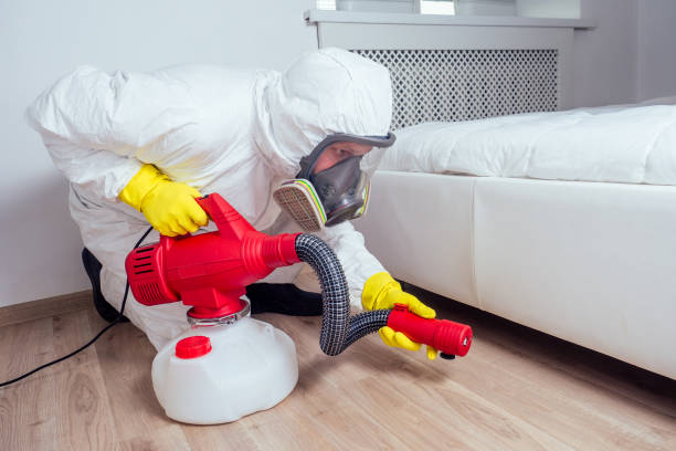 Best Termite Control Services  in Cumberland Head, NY
