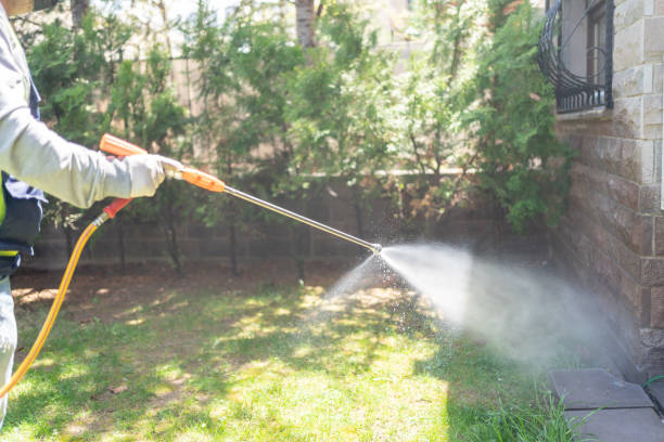Best Mosquito Control Services  in Cumberland Head, NY
