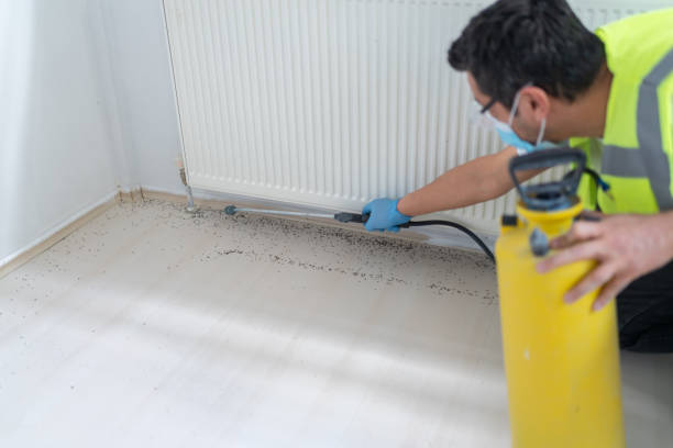 Best Commercial Pest Control Services  in Cumberland Head, NY